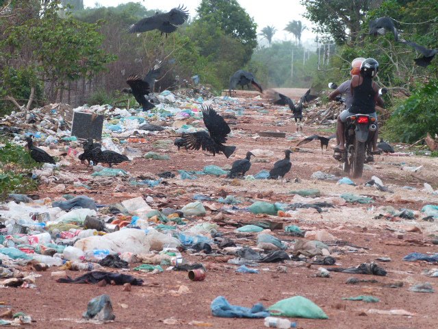 Lixo bloqueia estrada vicinal na zona rural de Rosário. Foto: Reprodução